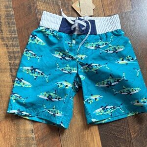 Swim trunks